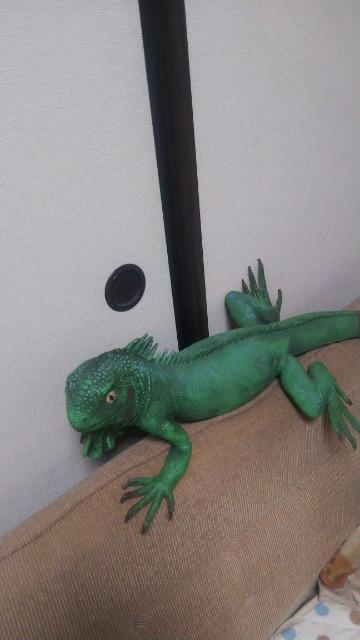 ★グリーンイグアナ★ビッグサイズ < ホビー  ★グリーンイグアナ★ビッグサイズ  < ホビーの