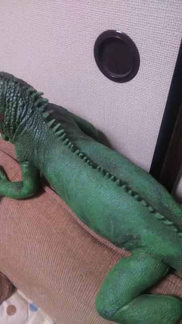 ★グリーンイグアナ★ビッグサイズ < ホビー  ★グリーンイグアナ★ビッグサイズ < ホビーの