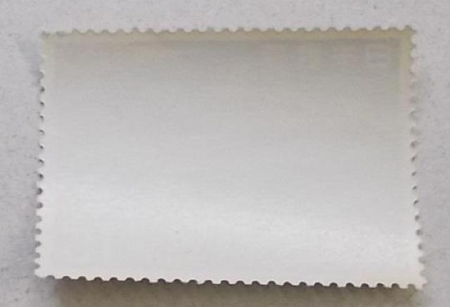 【未使用】魚介シリーズ スルメイカ 1枚 < ホビー  【未使用】魚介シリーズ スルメイカ 1枚 < ホビーの