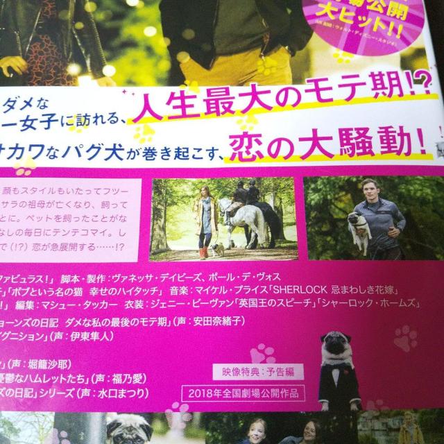 DVD『パグ・アクチュアリー ダメな私のワンダフル・ライフ 』中古品 レンタル落ち < CD/DVD/ビデオ  DVD『パグ・アクチュアリー ダメな私のワンダフル・ライフ 』中古品 レンタル落ち < CD/DVD/ビデオの