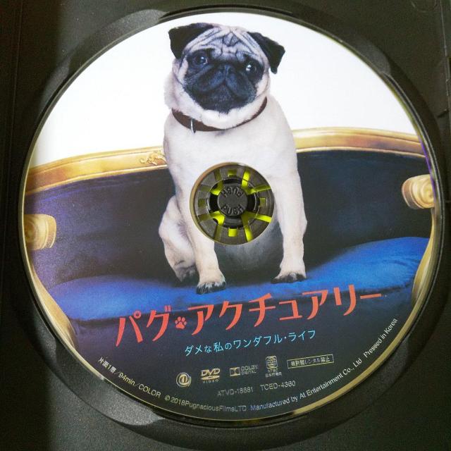 DVD『パグ・アクチュアリー ダメな私のワンダフル・ライフ 』中古品 レンタル落ち < CD/DVD/ビデオ  DVD『パグ・アクチュアリー ダメな私のワンダフル・ライフ 』中古品 レンタル落ち < CD/DVD/ビデオの