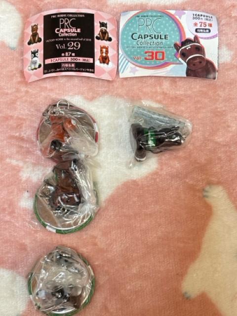 ���n��PRC��CAPSULE C ollection���D���n���t�B�M���A�R���N�V������10�Z�b�g�A���I�W���E�`���E�T������ �� �z�r�[�� 