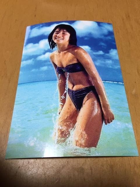 石田ゆり子 写真★5 < タレントグッズ 石田ゆり子 写真★5 < タレントグッズの