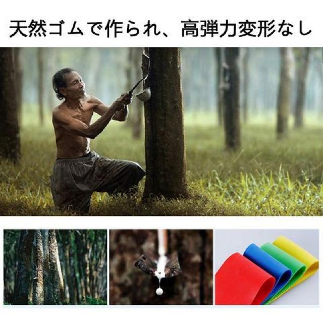 エクササイズバンド トレーニングチューブ チューブ < ヘルス/ビューティー  エクササイズバンド トレーニングチューブ チューブ < ヘルス/ビューティーの