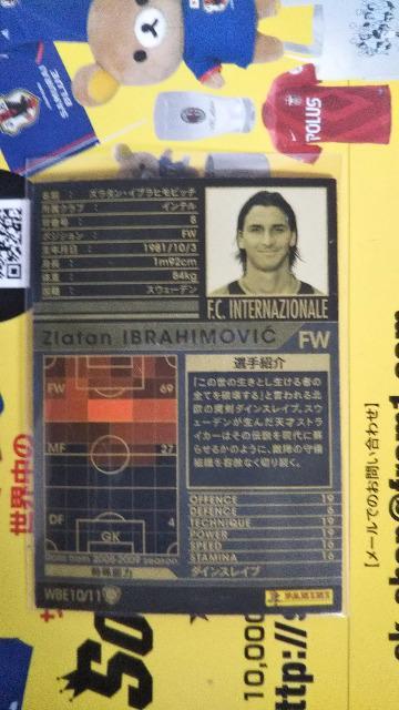 0809 WBE �C�u���q���r�b�` �� �g���[�f�B���O�J�[�h�� 