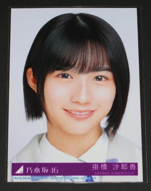 �T�؍�46�@�D���Ƃ����̂̓��b�N����!�@���ʐ^�P���@�|�����덁  �� �^�����g�O�b�Y�� 