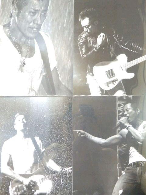 《New》【長渕剛】all Time Best*アリーナツアー2014★クリアファイル<4枚セット> < タレントグッズ  《New》【長渕剛】all Time Best*アリーナツアー2014★クリアファイル<4枚セット> < タレントグッズの