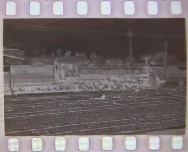 ӔN͍Ō܂ŖkCŊ􂵂ubTVPOSv̋MdȌ̃lK   zr[ 