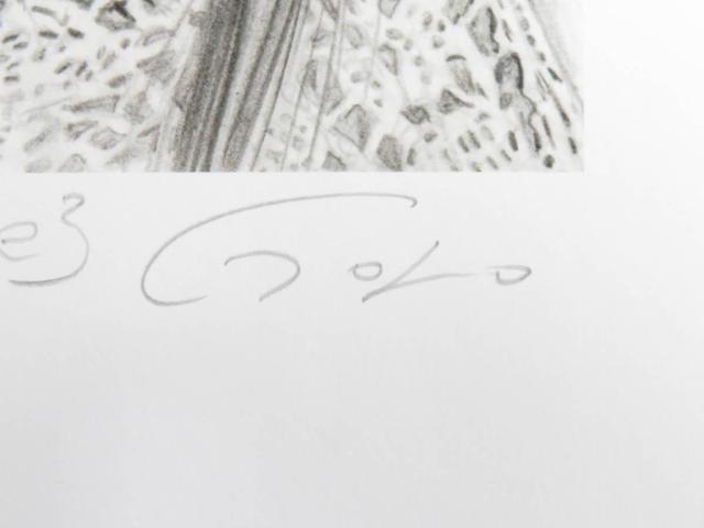 額装品を限定大特価出品!石川吾郎氏作白黒美人画「聖少女face3」の限定版画、エディション、直筆サインありの限定出品 < ホビー 額装品を限定大特価出品!石川吾郎氏作白黒美人画「聖少女face3」の限定版画、エディション、直筆サインありの限定出品 < ホビーの