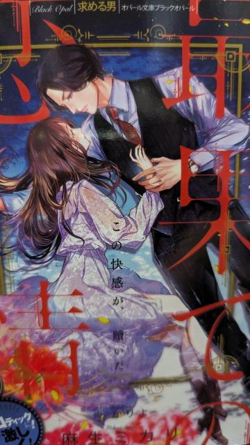 ŉʂĂ̗ɍ炭Ԃԁ~JIp[   {/G 