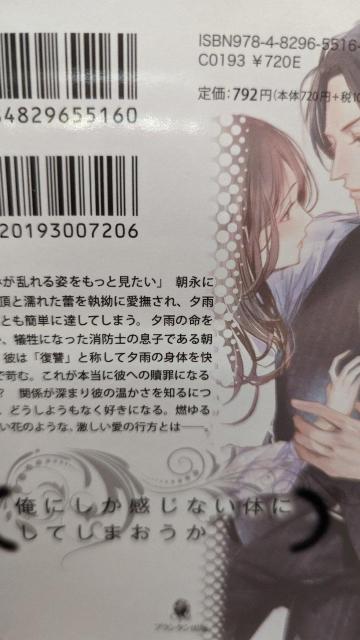 ŉʂĂ̗ɍ炭Ԃԁ~JIp[  {/G 