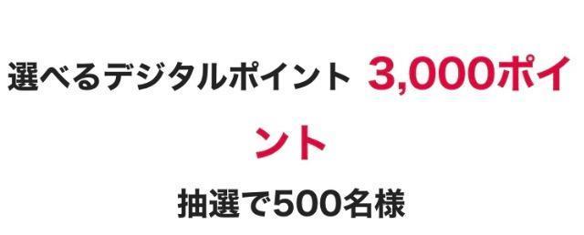 選べるデジタルポイント/3000ポイント/500名様1口 < チケット/金券  選べるデジタルポイント/3000ポイント/500名様1口  < チケット/金券の