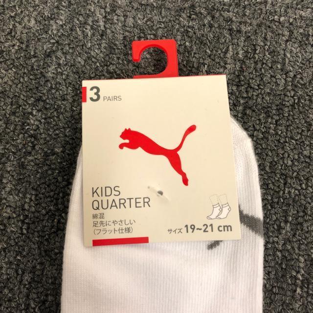 ���� �V�i PUMA �v�[�} KIDS �L�b�Y �\�b�N�X 19-21cm �� �u�����h�� 