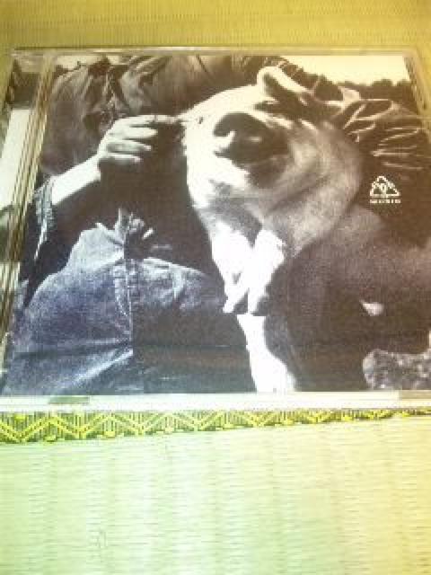 CD横道坊主/リサイクル 帯なし < タレントグッズ  CD横道坊主/リサイクル 帯なし  < タレントグッズの