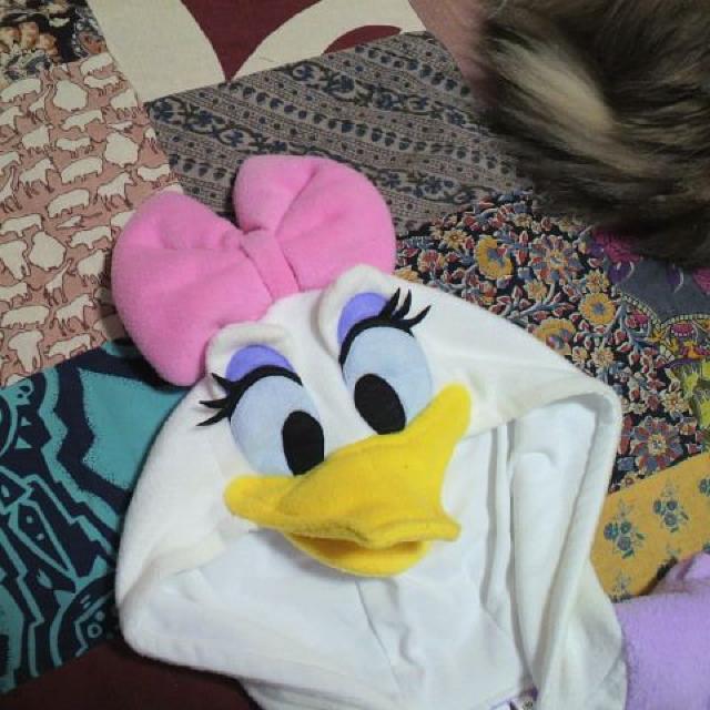 ディズニーデイジーダック フリース着ぐるみ 110p < キッズ/ベビー  ディズニーデイジーダック フリース着ぐるみ 110p < キッズ/ベビーの