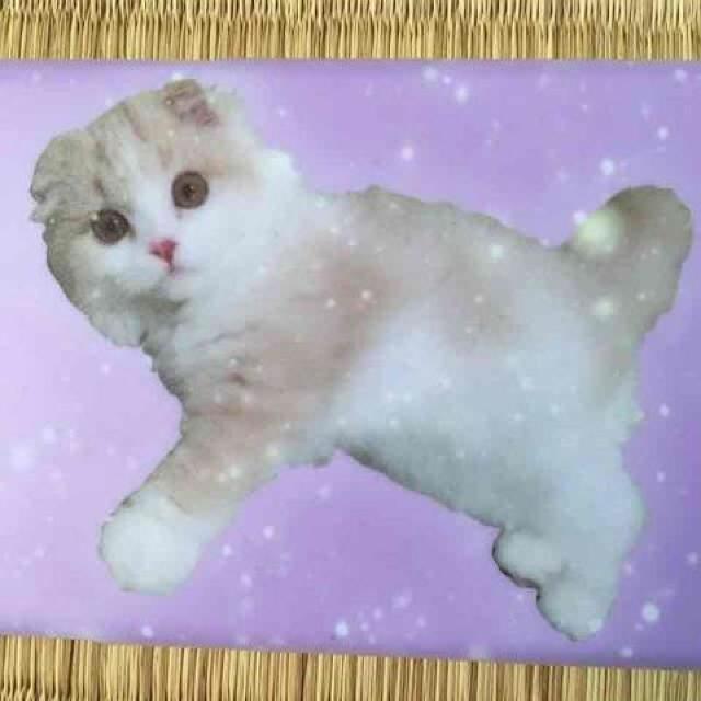 WEGO・ゆめかわネコフォトプリントiPhone6ケース。ピンク < ブランド  WEGO・ゆめかわネコフォトプリントiPhone6ケース。ピンク < ブランドの