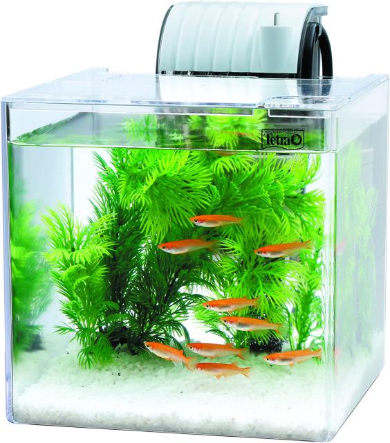 テトラ 静かなメダカ飼育セット < ペット/手芸/園芸  テトラ 静かなメダカ飼育セット  < ペット/手芸/園芸の