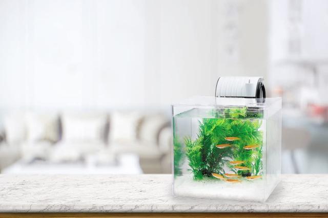 テトラ 静かなメダカ飼育セット < ペット/手芸/園芸  テトラ 静かなメダカ飼育セット < ペット/手芸/園芸の