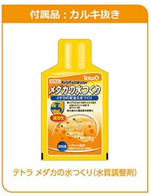 テトラ 静かなメダカ飼育セット < ペット/手芸/園芸  テトラ 静かなメダカ飼育セット < ペット/手芸/園芸の