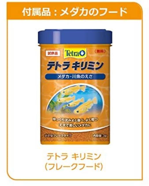 テトラ 静かなメダカ飼育セット < ペット/手芸/園芸  テトラ 静かなメダカ飼育セット < ペット/手芸/園芸の