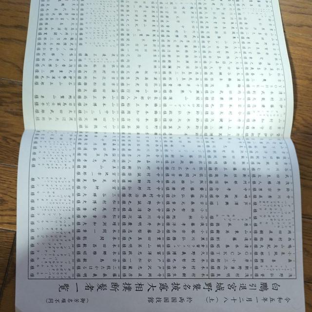 Qދ{PI告of҈ꗗ@Rs[   W[/X|[c 