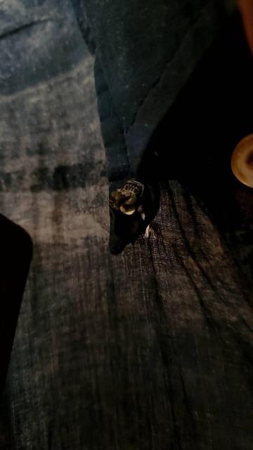 KMRiiケムリ NEBULA SHIRT M/1 < ブランド KMRiiケムリ NEBULA SHIRT M/1 < ブランドの