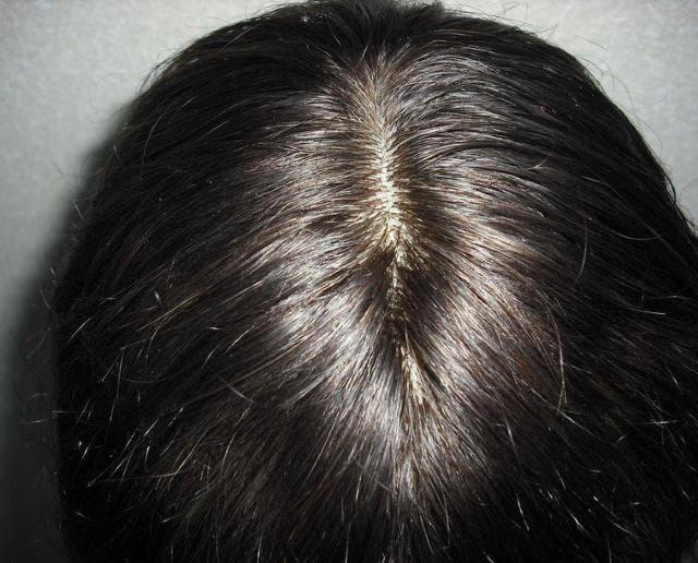 Vi@LȂ@lс@EBbO@lH畆t@RFX[p[O@lTCY  t@bV 