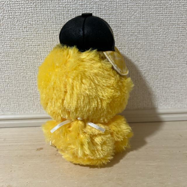 �����\�t�g�o���N�z�[�N�X �z�b�N�z�[�N �ʂ������ �y�T�C�Y:��20cm�z �� ���W���[/�X�|�[�c�� 