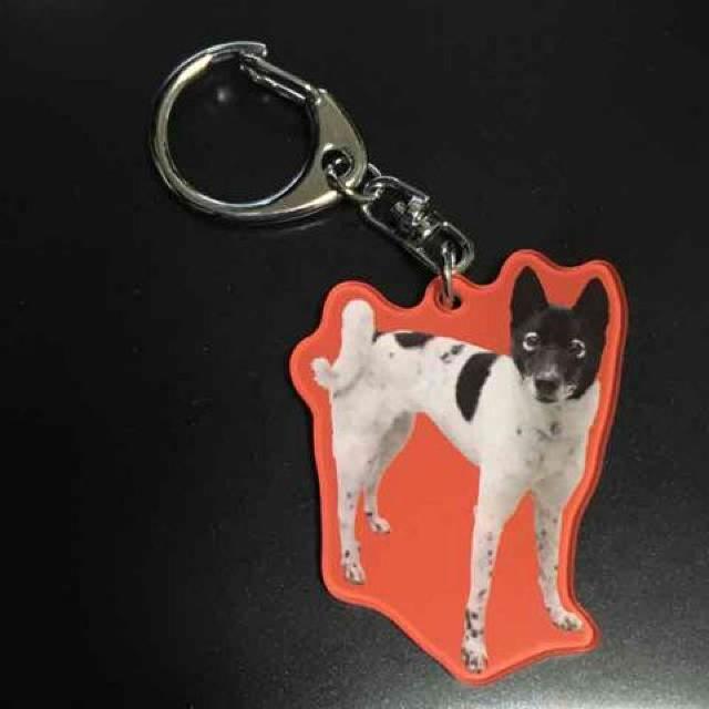 权Nu~~OmvEhbOANL[z_[   zr[ 