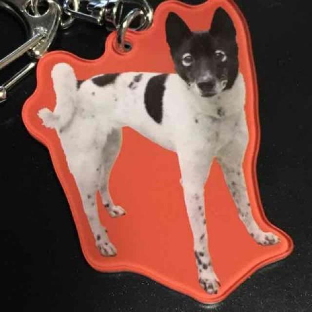 权Nu~~OmvEhbOANL[z_[  zr[ 