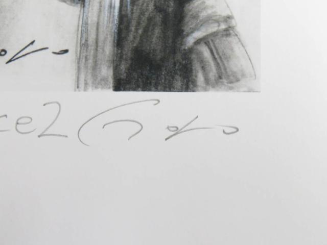 zioiIΐY씒luQv̌ŉAGfBVAMTČoi  zr[ 