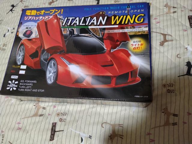 イタリアンウイング < ホビー  イタリアンウイング  < ホビーの