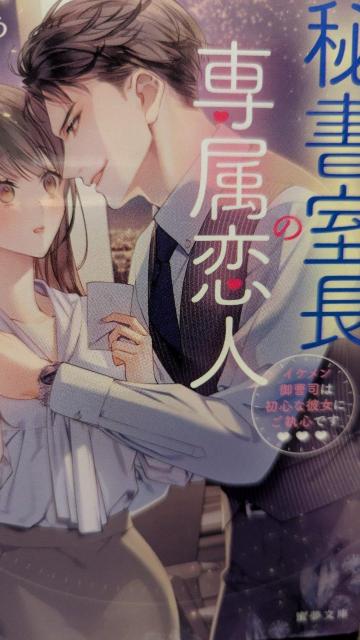 秘書室長の専属恋人★水城のあ★蜜夢文庫 < 本/雑誌 秘書室長の専属恋人★水城のあ★蜜夢文庫 < 本/雑誌の