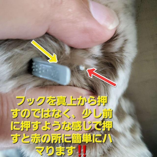 込み★普段着としても!ふっかふか!毛皮ヌートリアジャケットコート★ < 女性ファッション 込み★普段着としても!ふっかふか!毛皮ヌートリアジャケットコート★ < 女性ファッションの