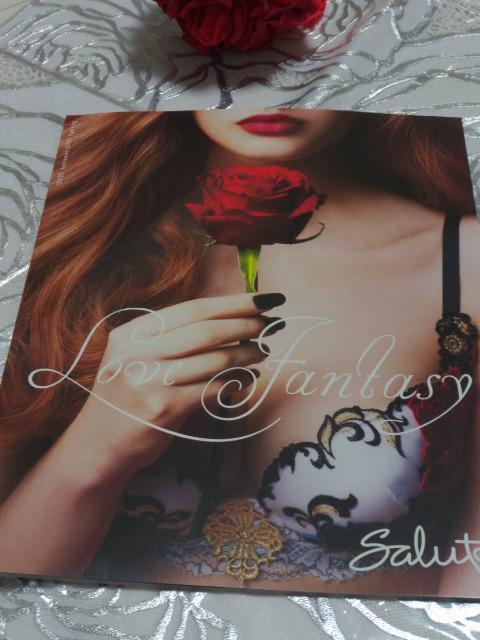 Wacoal/ワコール/salute/サルート/2022年秋冬/2023年春/カタログ/パンフレット < 女性ファッション  Wacoal/ワコール/salute/サルート/2022年秋冬/2023年春/カタログ/パンフレット  < 女性ファッションの