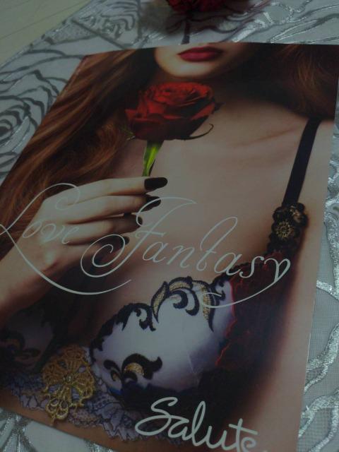 Wacoal/ワコール/salute/サルート/2022年秋冬/2023年春/カタログ/パンフレット < 女性ファッション  Wacoal/ワコール/salute/サルート/2022年秋冬/2023年春/カタログ/パンフレット < 女性ファッションの