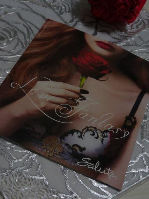 Wacoal/ワコール/salute/サルート/2022年秋冬/2023年春/カタログ/パンフレット < 女性ファッション  Wacoal/ワコール/salute/サルート/2022年秋冬/2023年春/カタログ/パンフレット < 女性ファッションの