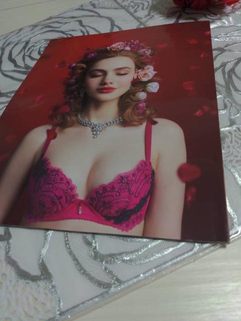 Wacoal/ワコール/salute/サルート/2022年秋冬/2023年春/カタログ/パンフレット < 女性ファッション  Wacoal/ワコール/salute/サルート/2022年秋冬/2023年春/カタログ/パンフレット < 女性ファッションの