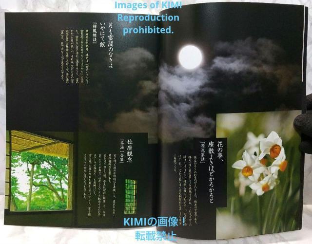 入門茶の湯 茶の湯 から日本の歴史と美が見えてくる 完全保存版 筒井紘一 洋泉社 つつい ひろいち < 本/雑誌  入門茶の湯 茶の湯 から日本の歴史と美が見えてくる 完全保存版 筒井紘一 洋泉社 つつい ひろいち < 本/雑誌の