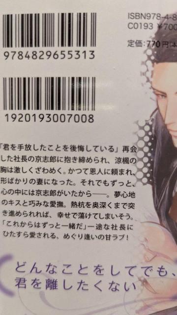二度と君を離さない★玉紀直★オパール文庫 < 本/雑誌 二度と君を離さない★玉紀直★オパール文庫 < 本/雑誌の