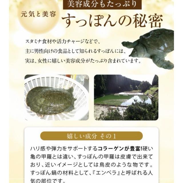 ���Y ���| �����ۂ񍕐| ���|����� �T�v�������g��3�������~4�� �� �O����/�h�����N�� 