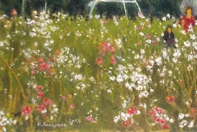 (^^�����ʉ�@���R�q���V�y�Βn�����̃R�X���X���z�wF12���x���V�z���t�����@ �� �z�r�[�� 