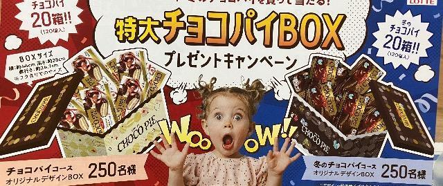 チョコパイ/冬のチョコパイ20箱120個入り/500名様5口 < チケット/金券  チョコパイ/冬のチョコパイ20箱120個入り/500名様5口  < チケット/金券の