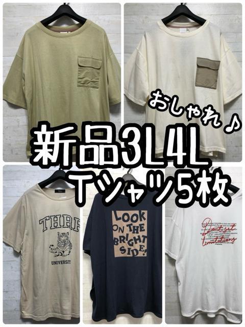 Vi3L4L􂨂TVcFX5܂Ƃ߂āG905   t@bV 