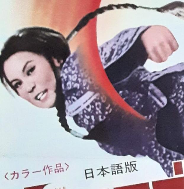 ☆少林寺秘伝拳☆日本語吹き替え版☆シャンカンリンホウ☆ < CD/DVD/ビデオ ☆少林寺秘伝拳☆日本語吹き替え版☆シャンカンリンホウ☆ < CD/DVD/ビデオの