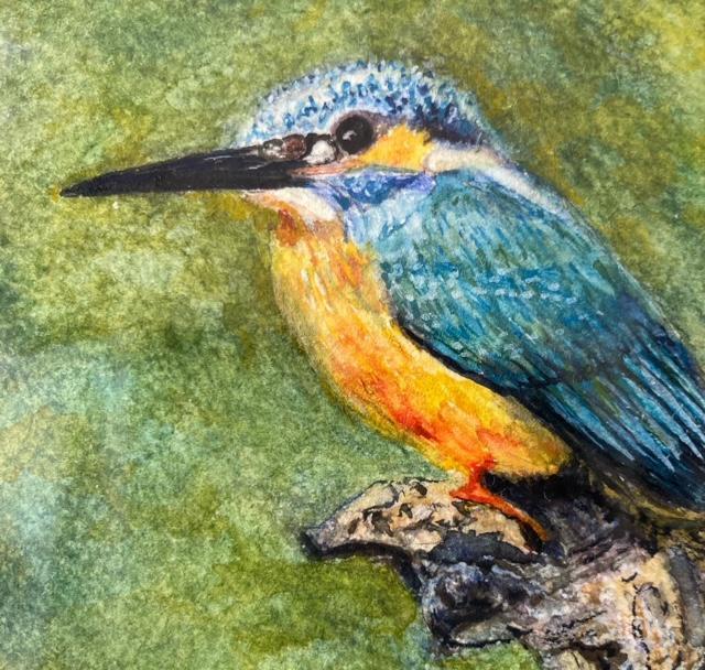 絵画 水彩画 水彩色鉛筆 ガッシュ水彩・透明水彩『カワセミ』 新品・未使用 真作保証 原画 < ホビー 絵画 水彩画 水彩色鉛筆 ガッシュ水彩・透明水彩『カワセミ』 新品・未使用 真作保証 原画 < ホビーの