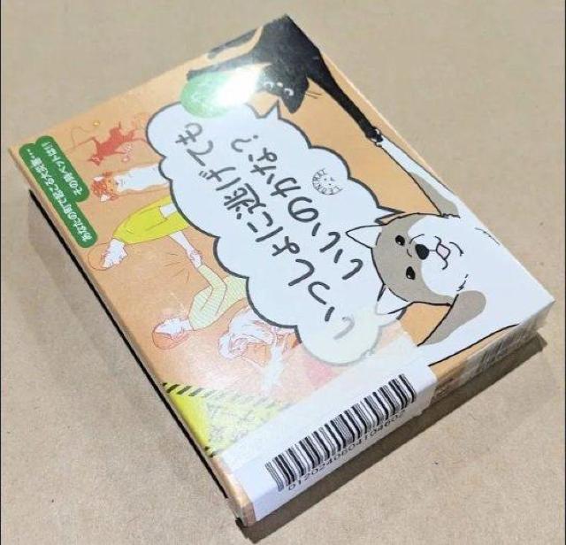 ドリーム アイソシアル カードゲーム いっしょに逃げてもいいのかな < おもちゃ ドリーム アイソシアル カードゲーム いっしょに逃げてもいいのかな < おもちゃの