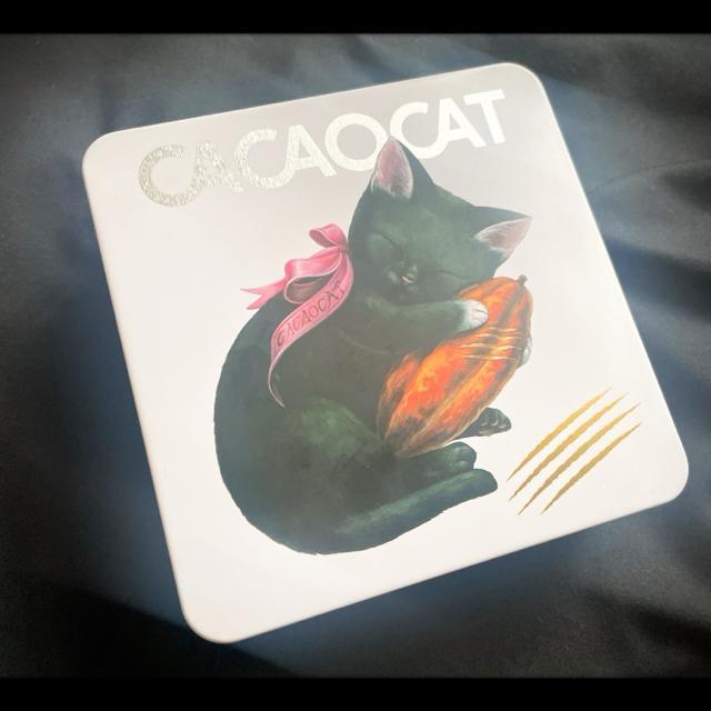2025 CACAOCAT JJILbg CACAO POD JJI|bh lR A~  