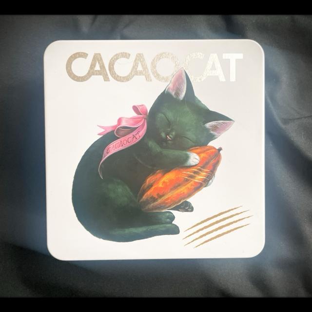 2025 CACAOCAT JJILbg CACAO POD JJI|bh lR A~  