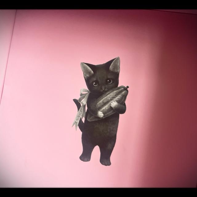 2025 CACAOCAT JJILbg CACAO POD JJI|bh lR A~  